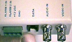 Transmitter Connections  pic